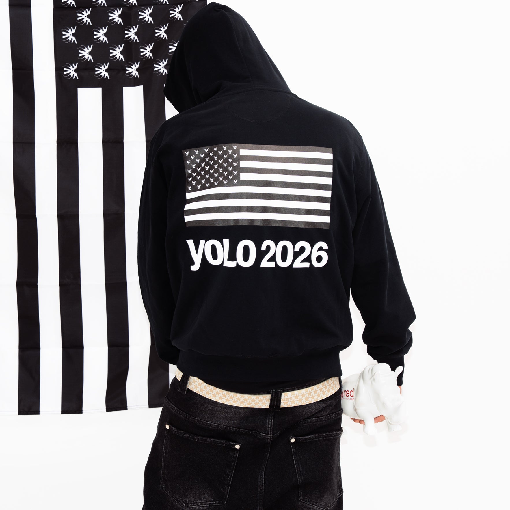 YOLO 